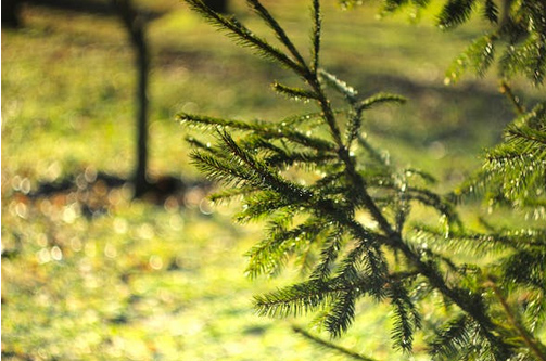 網名丨越叫越順的微信昵稱
