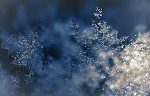 高端創意的健身房名字大全