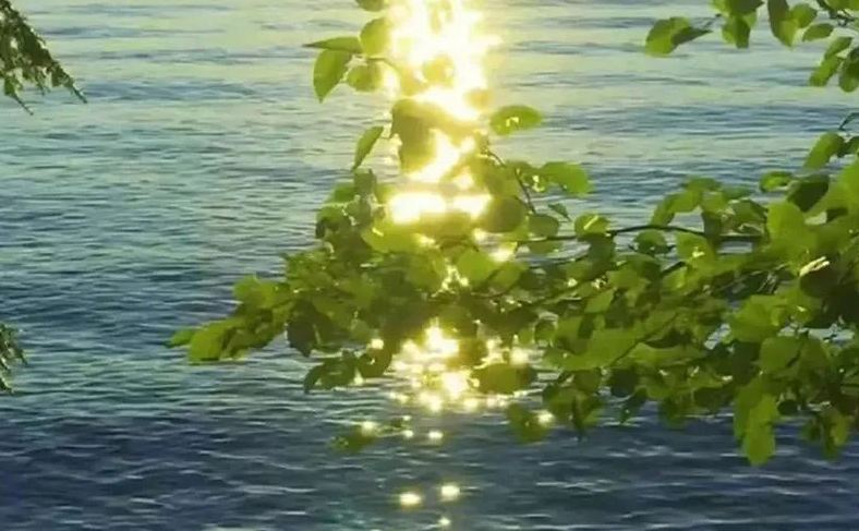 好聽的室內(nèi)設(shè)計(jì)作品名稱，有內(nèi)涵的室內(nèi)設(shè)計(jì)名稱