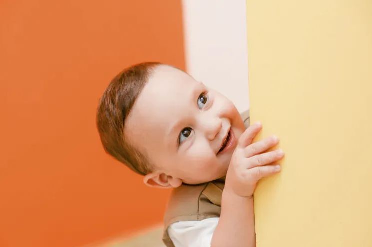 鴻字起名配什么字好?看看鴻字搭配大氣吉利的名字