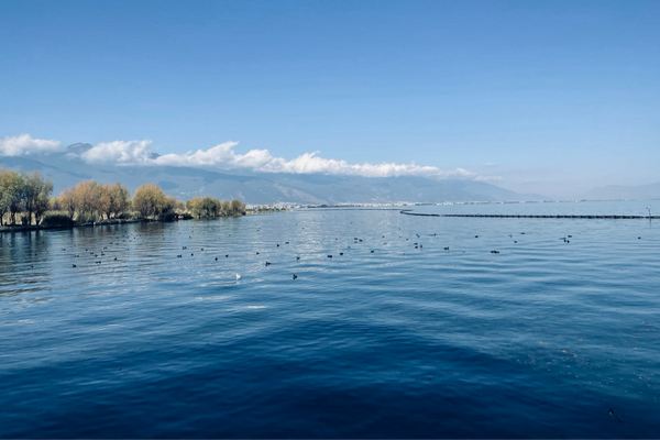 獨特又撩人的昵稱二字,網(wǎng)名取名