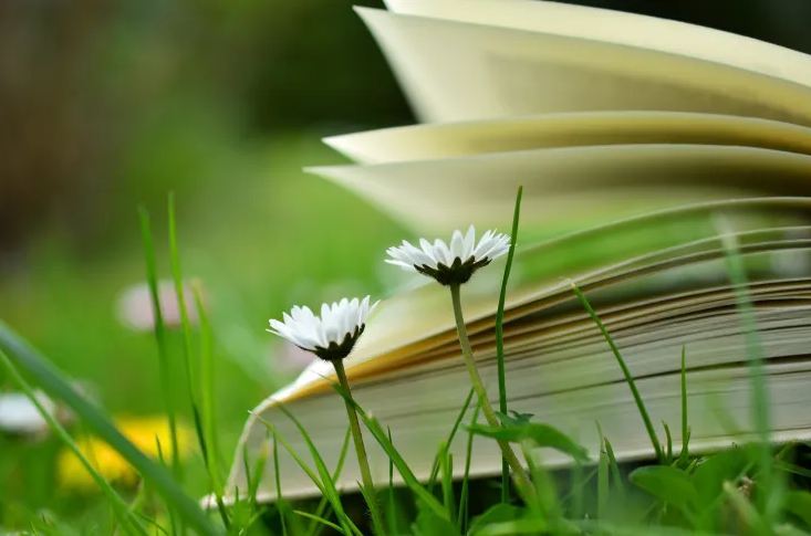 網名丨有故事感的四字微信名字