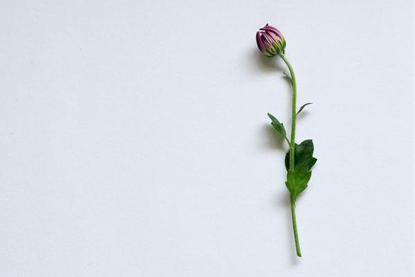 無畏契約游戲id取名鬼才，哪一個(gè)你敢用？