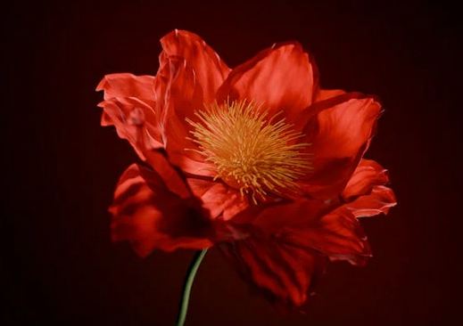 店鋪起名丨簡單好記的美容店名字分享