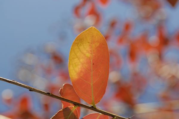 公司起名丨資產(chǎn)管理公司起名字大全分享