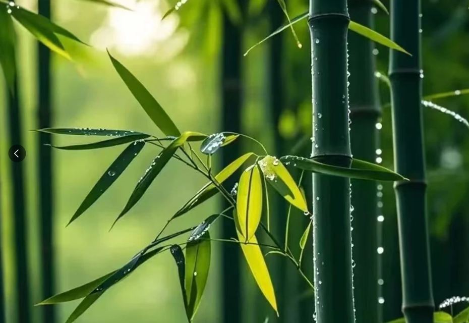 公司起名丨分享30個(gè)象征吉祥的公司名字