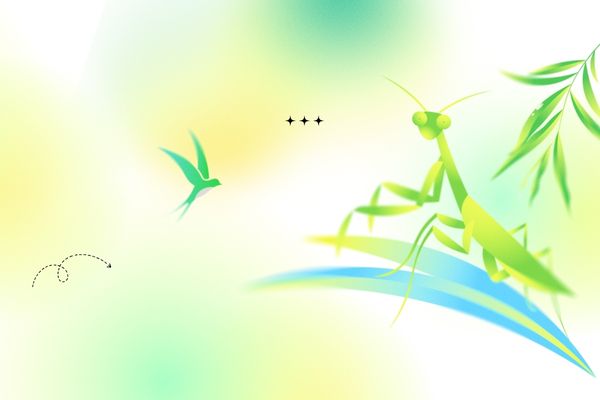 以茶取個微信名，好聽到爆