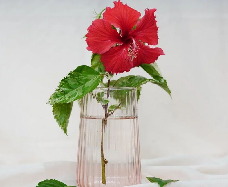 公司起名丨霸氣又聚財的公司名稱