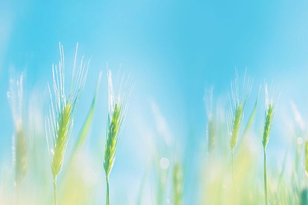 網名丨小眾詩意的二字網名id