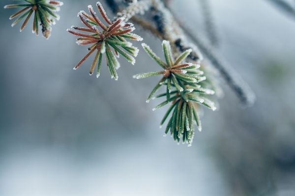 游戲起名丨60個游戲id昵稱（可愛又搞笑）