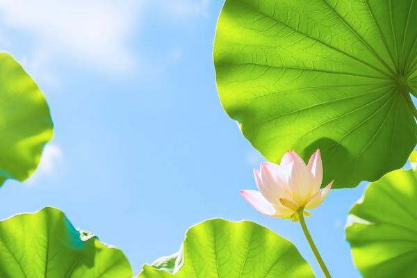 游戲昵稱簡短好聽古風分享60個