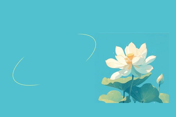 網(wǎng)名丨 關于回憶的小眾網(wǎng)名ID