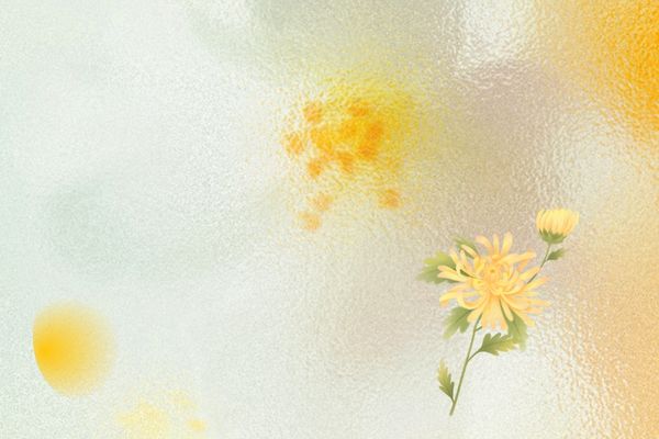 公司起名丨貿(mào)易公司名稱大全簡(jiǎn)單大氣