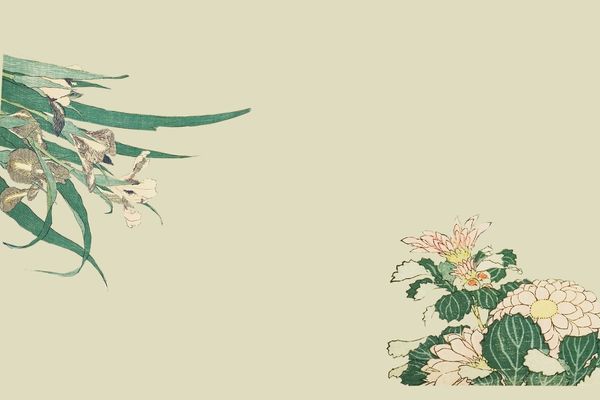 好聽不膩的意境感網(wǎng)名ID