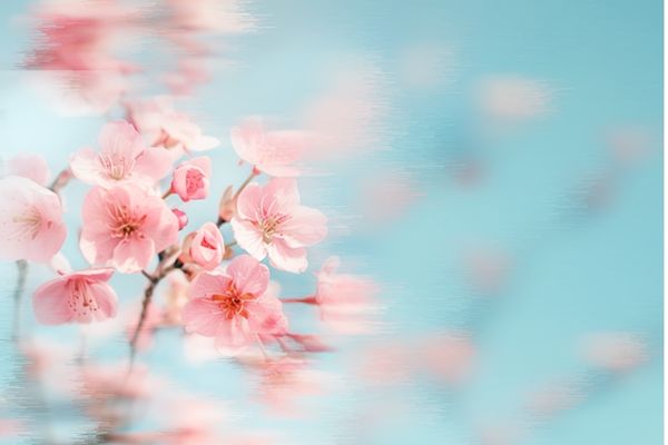 網(wǎng)名丨高級冷淡感網(wǎng)名ID