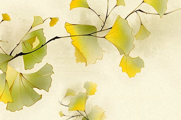 公司起名丨旅游公司名字高雅大氣