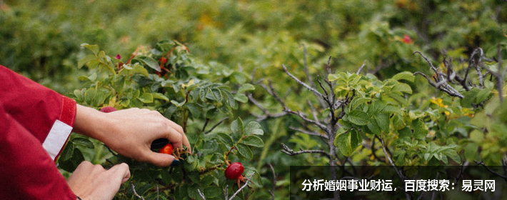 何炅這個名字怎么樣，名字解析，打分