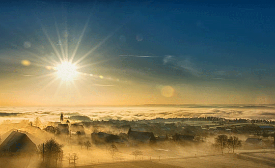 1581054481445582.png 5(73).png