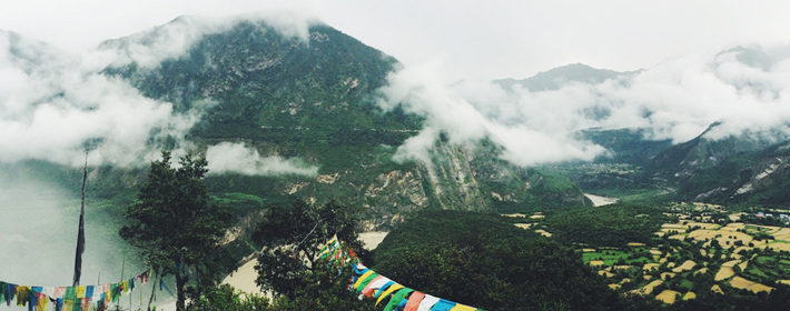 富有生命力的?酒業公司名字精選