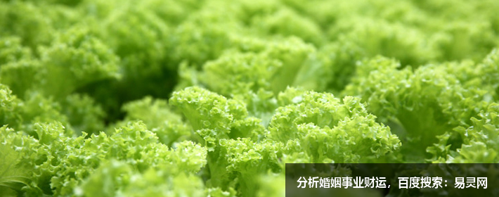 互聯網公司創意名字大全，獨特好聽應有盡有