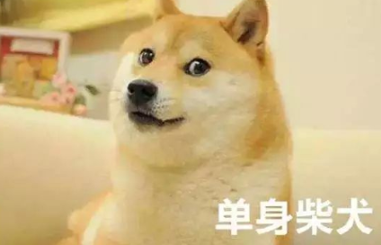 1656465922853992.png 1656465920036.png