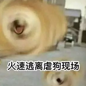 1656465954203890.png 1656465951848.png